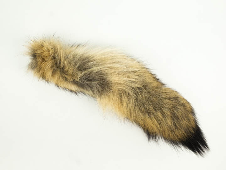 Coyote Tail: #1/#2 