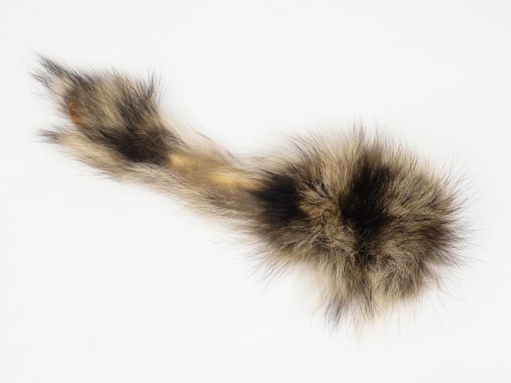 Natural Raccoon Tail: Reject Grade 