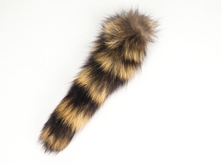 Natural Raccoon Tail: Medium - 18-11-N-M (L1)