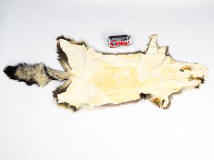 Argentine Gray Fox Skin: Assorted - 180-00-AS (9UK8)