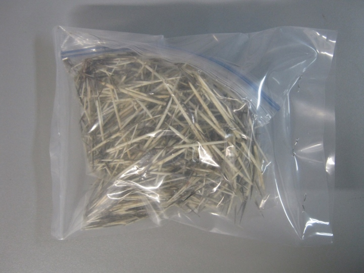Washed North American Porcupine Quills: 0.5-oz. Bag 