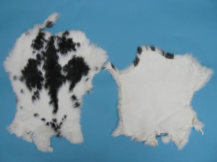 Craft Rabbit Skin: Spotted Black and White - 188-01NSP1 (L30)