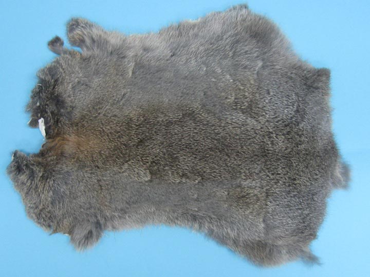 Gift Shop Rabbit Skin: Bunny Gray 