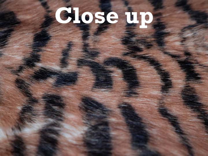 Printed Rabbit Skin: Tiger 2 Pattern 