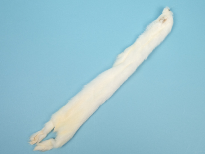 Craft Grade Ermine Skin without Tail 