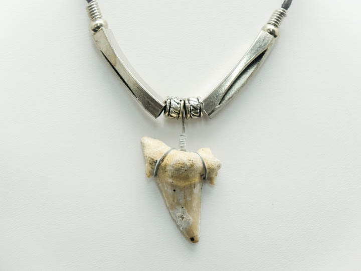 Otodus Fossil Shark Tooth Necklace: Silver Beads 