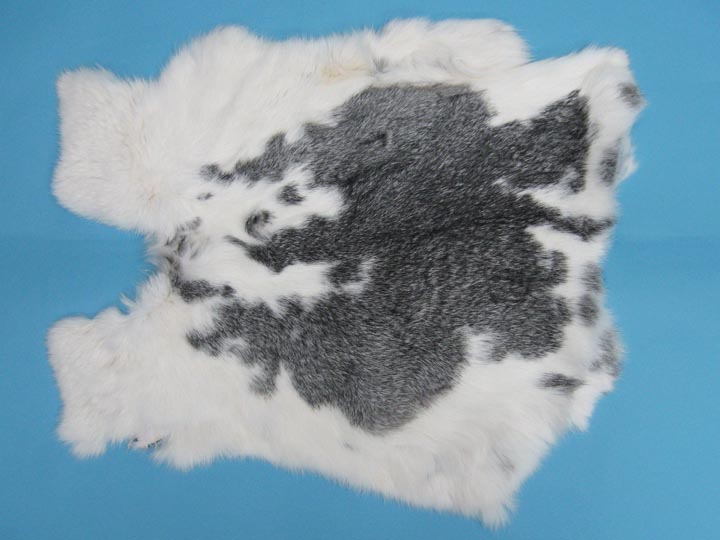 Czech #1/#2 Breeder Rabbit Skin: Gray and White Spotted 
