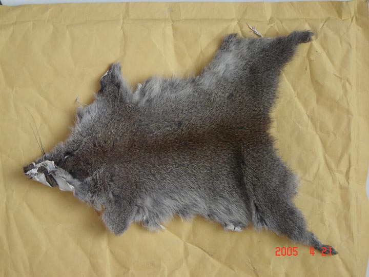 Chinese Gray Squirrel Skin 
