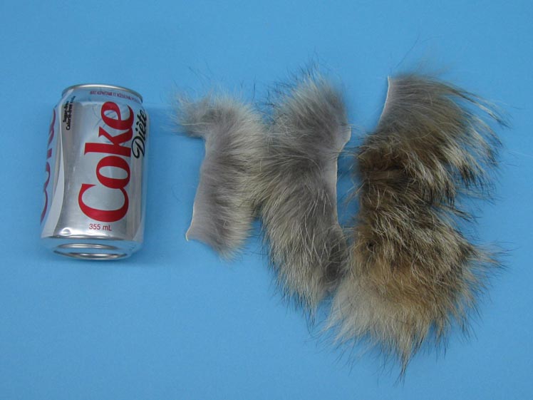 Premium Coyote Fur Scrap: Small (lb) 