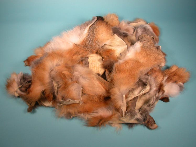 Red Fox Fur Scrap (lb) 