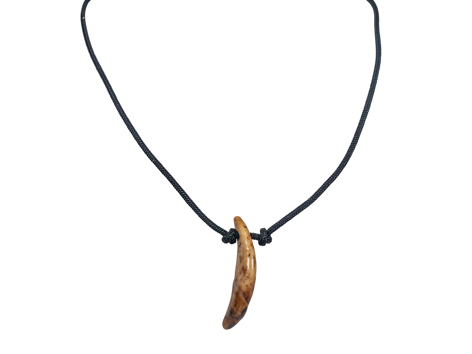 Fossil Sled Dog / Wolf Canine Necklace 