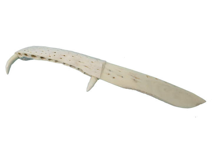 Alligator Jaw Bone Knife: Medium 
