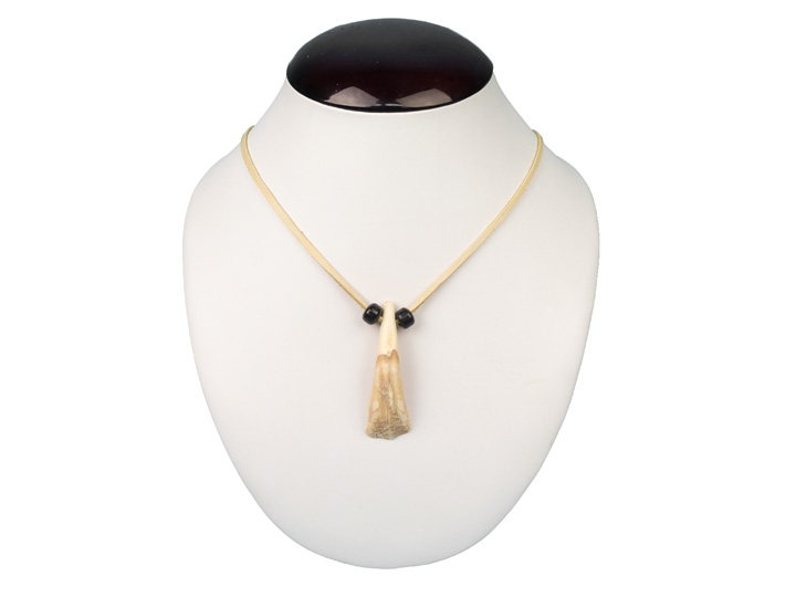 Real Water Buffalo Tooth Necklace: 1-Tooth 