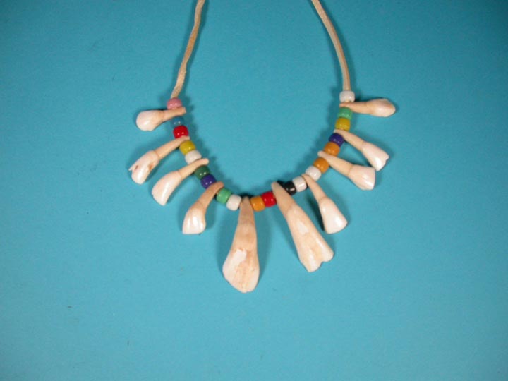 Real Water Buffalo Tooth Necklace: 10-Tooth 