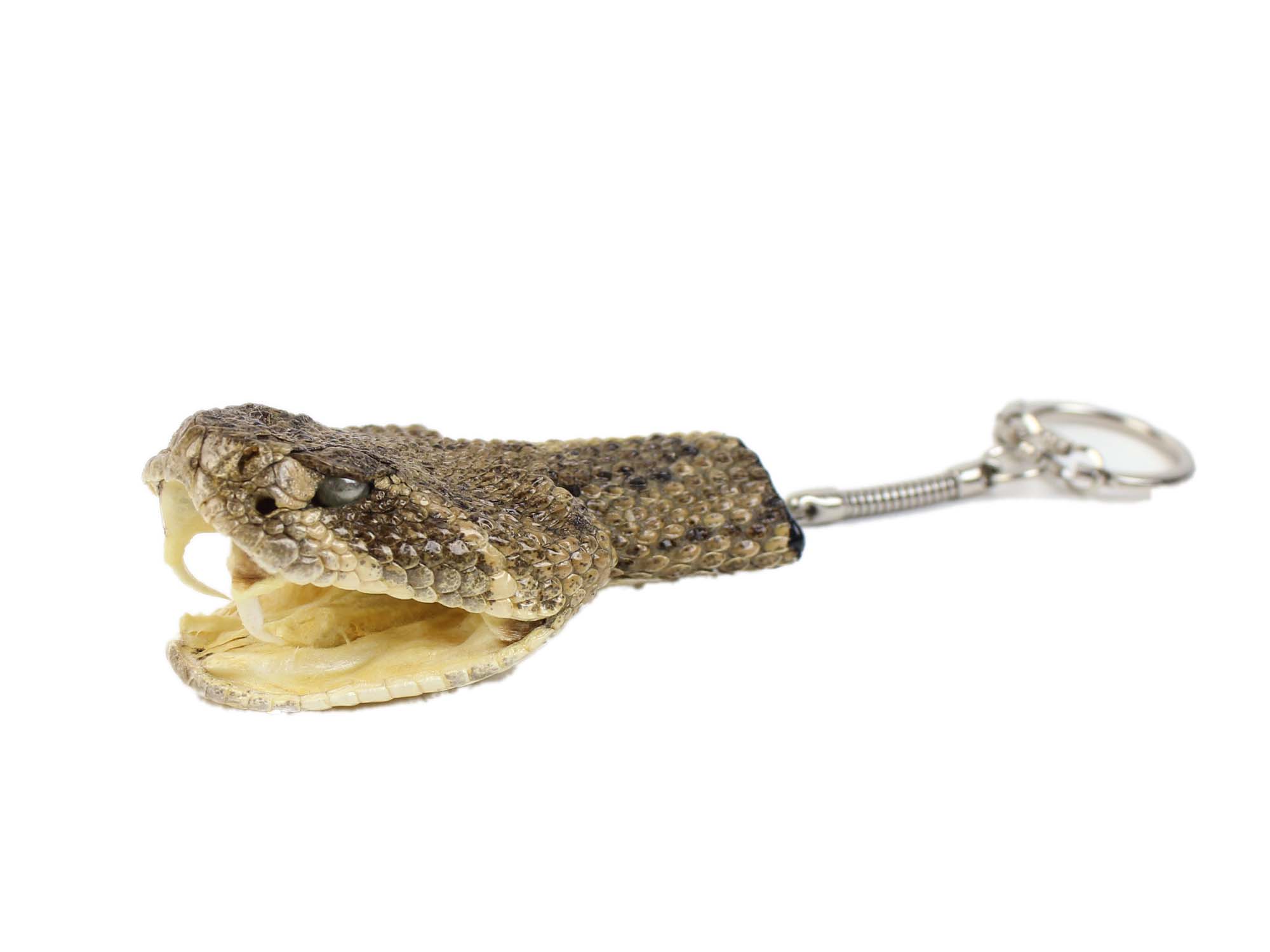 Rattlesnake Head Keychain: Mouth Partially Open 