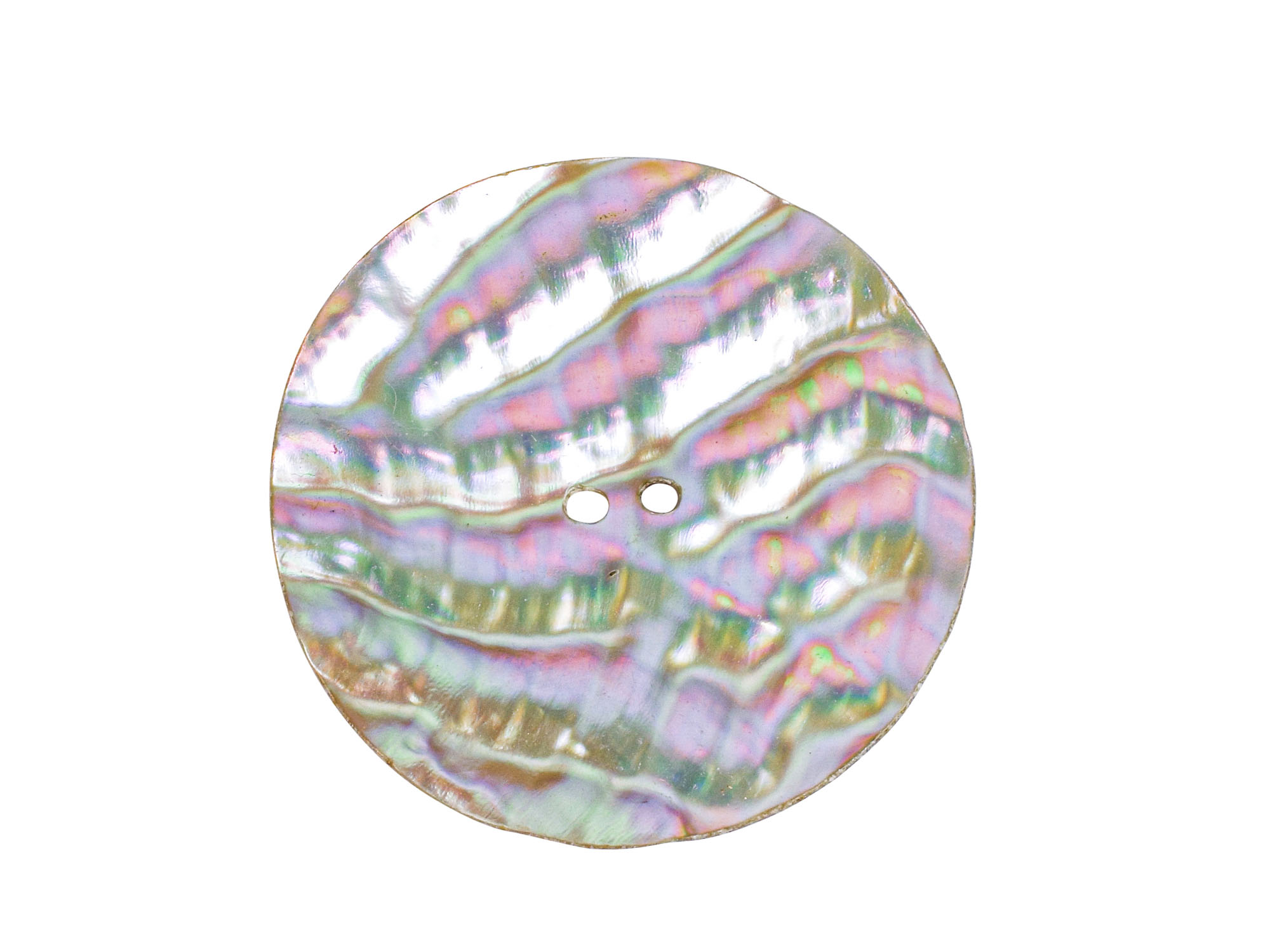 Australian Abalone Button: 100-Line (63.5mm or 2.5") 