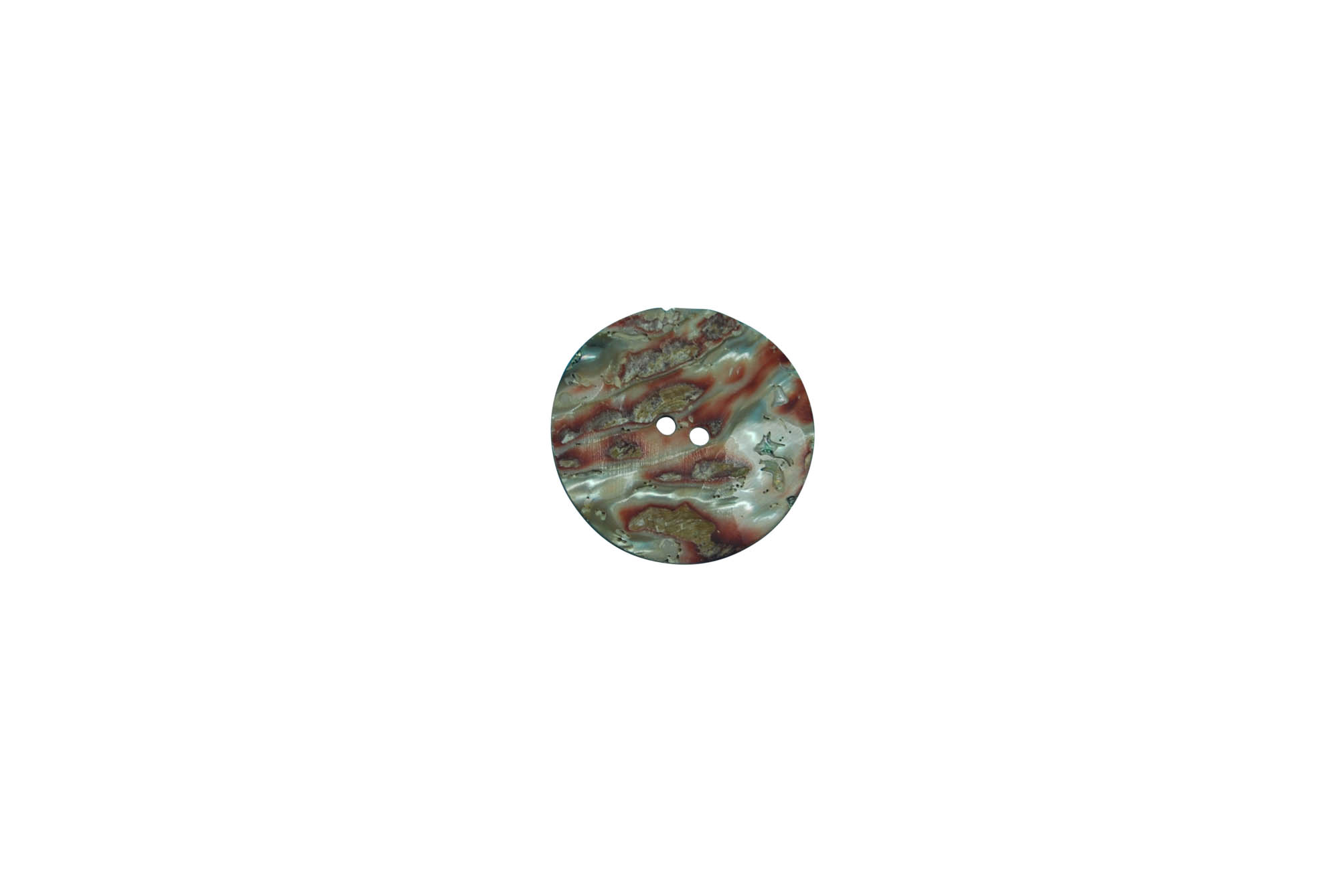 African Abalone Shell Button: 50mm (2") 