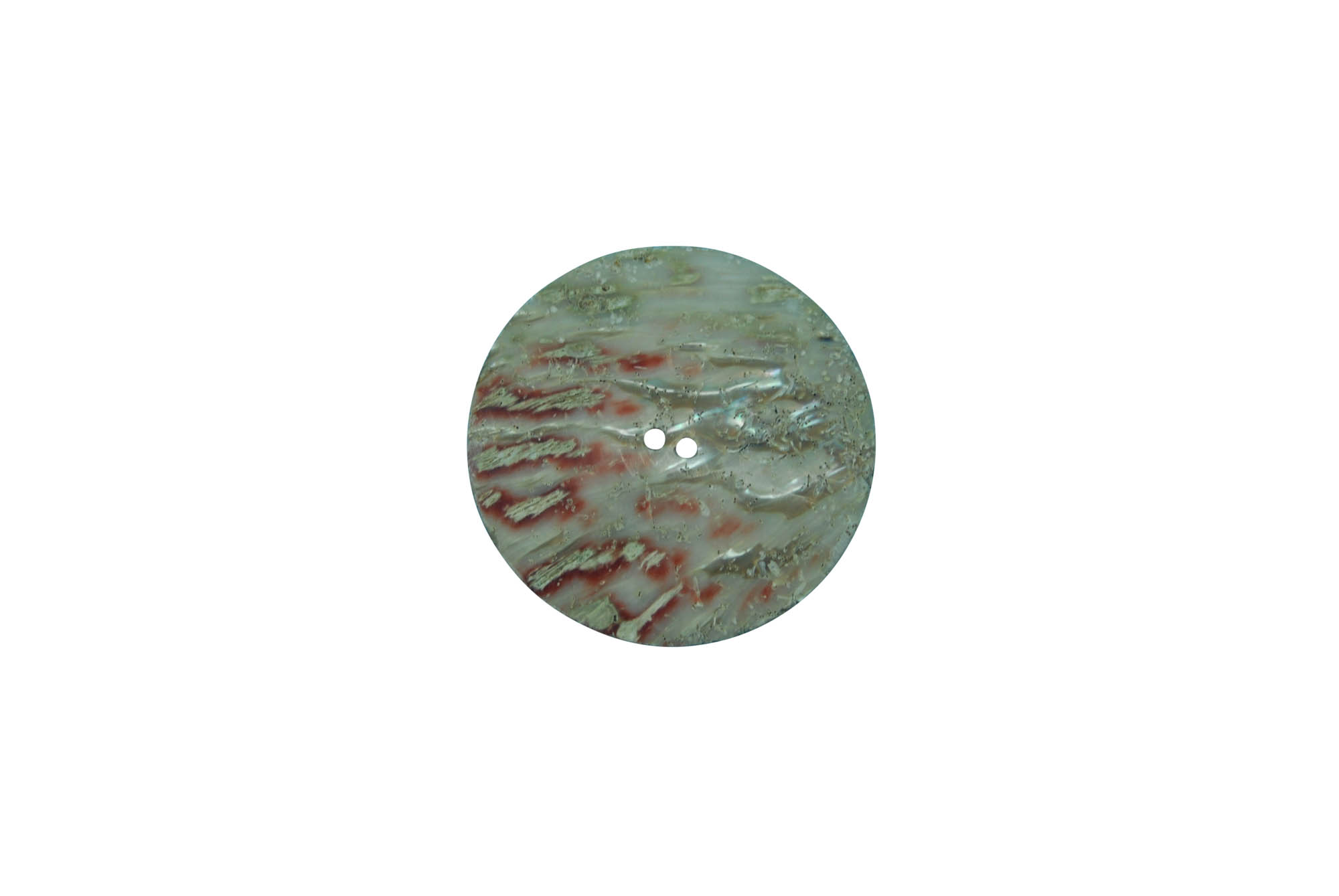 African Abalone Shell Button: 71mm (2.8") 