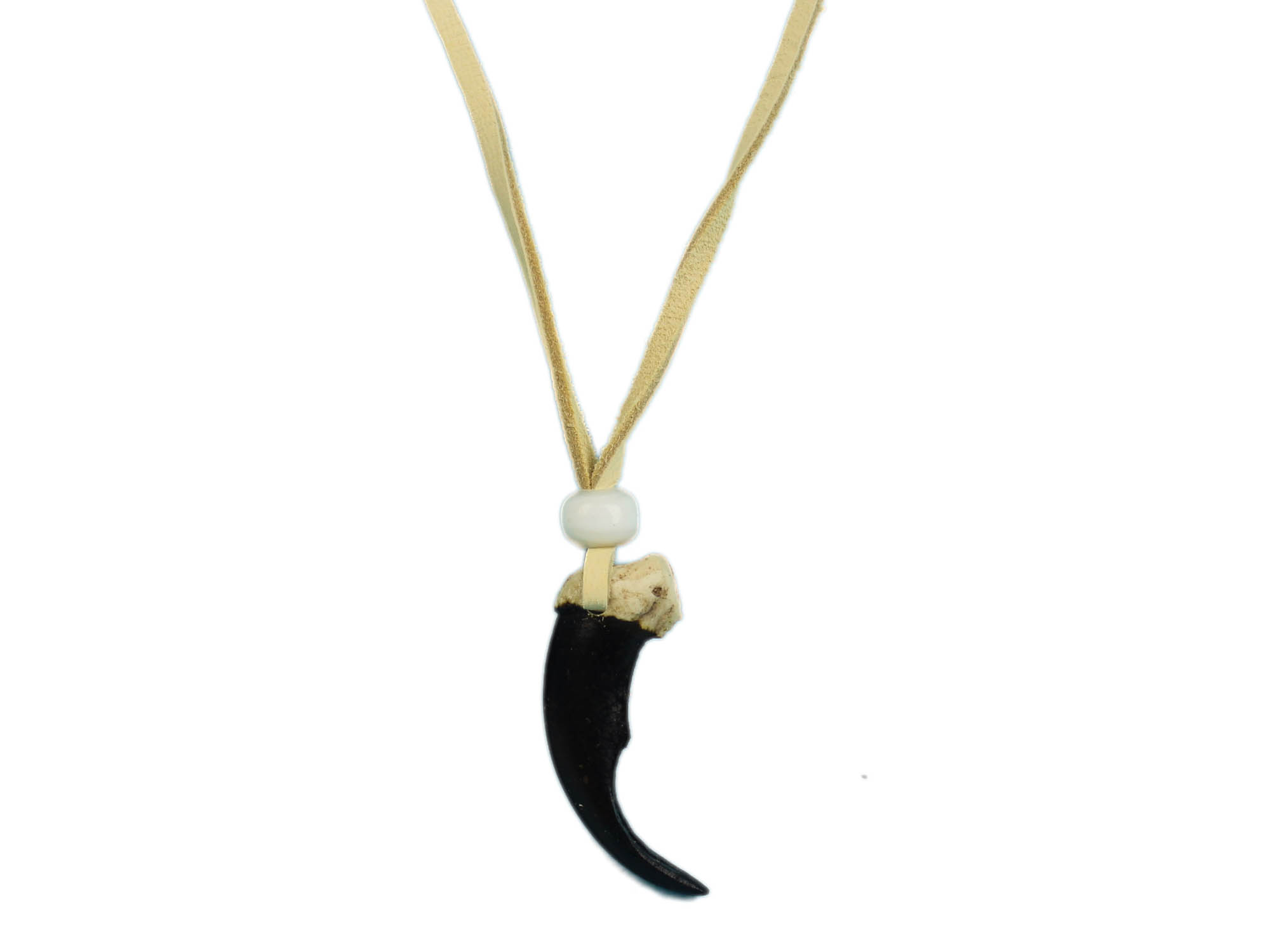 Realistic Wolf Claw Necklace: 1-Claw 