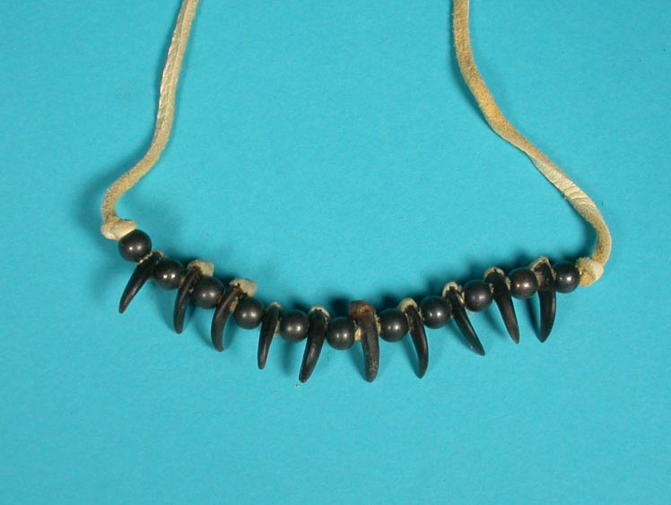 Real 10-Claw Coyote Necklace 