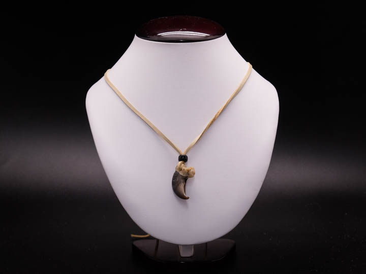 Real Black Bear 1-Claw Necklace
