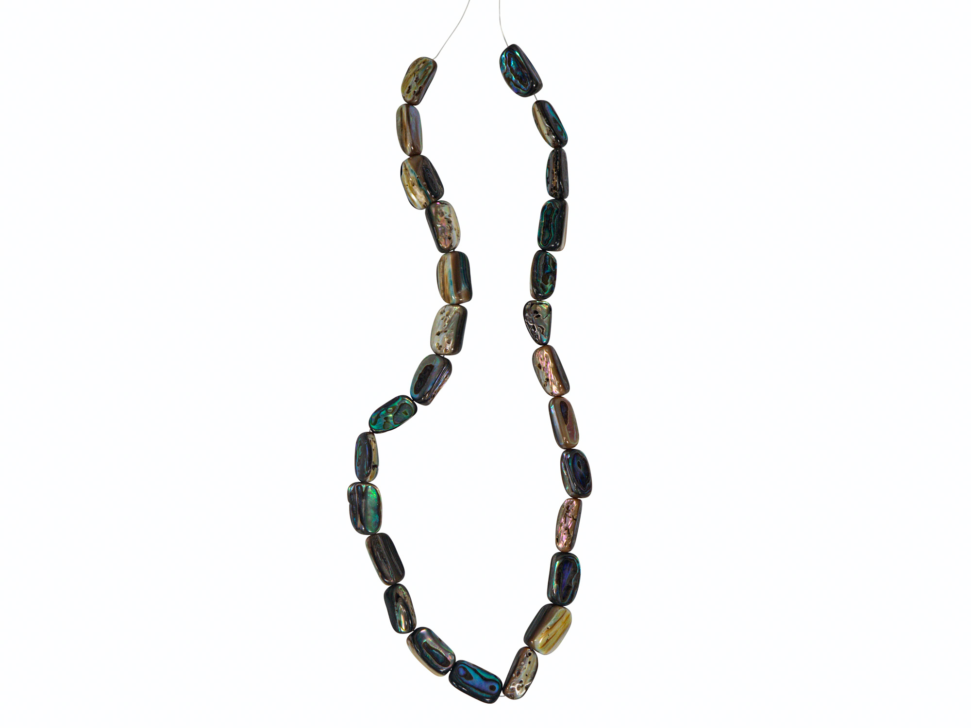 Paua Shell Beads: Medium (>0.75"): Strung 