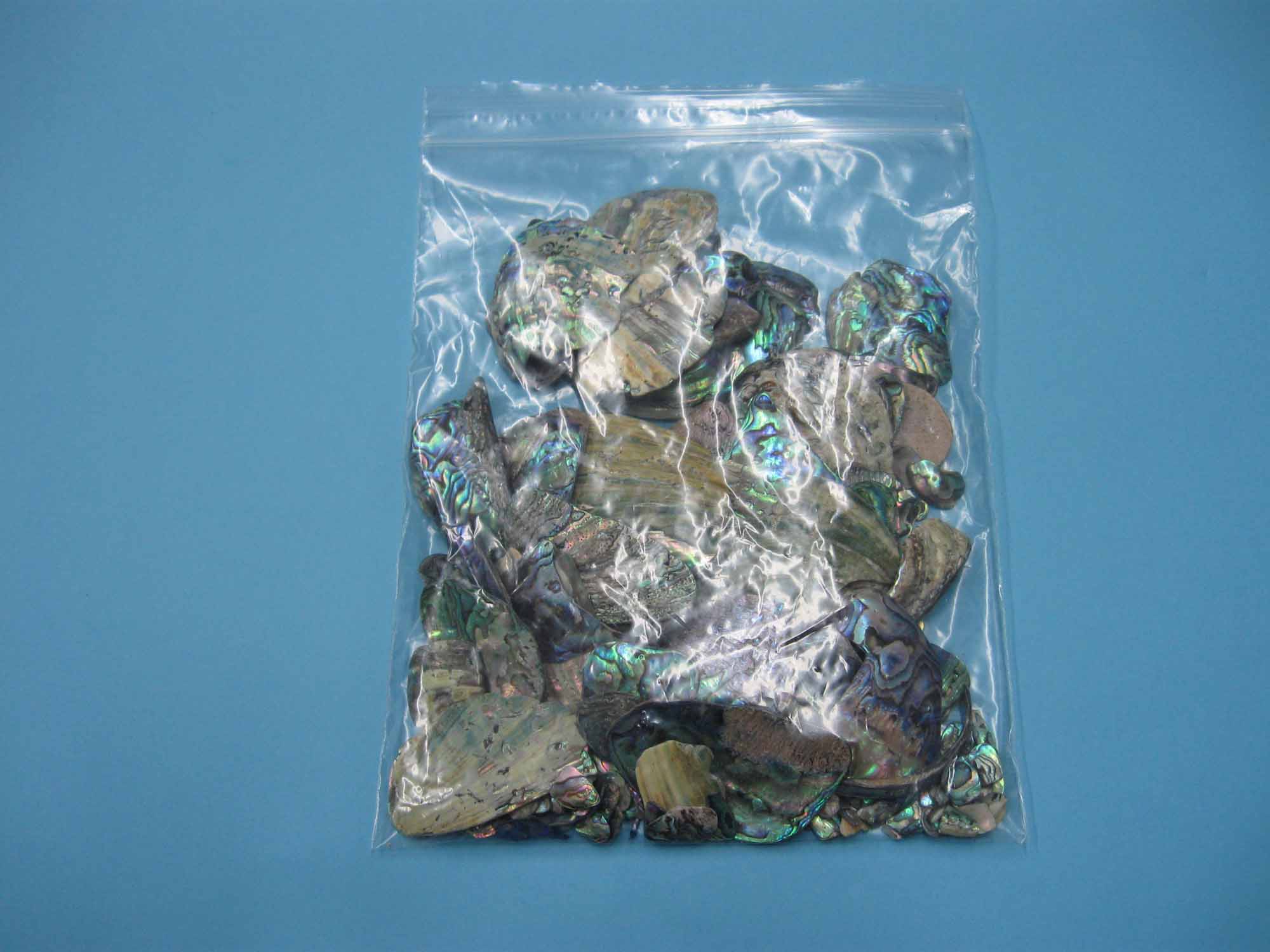 Paua Shell Pieces: Satin: Unsorted (lb) 
