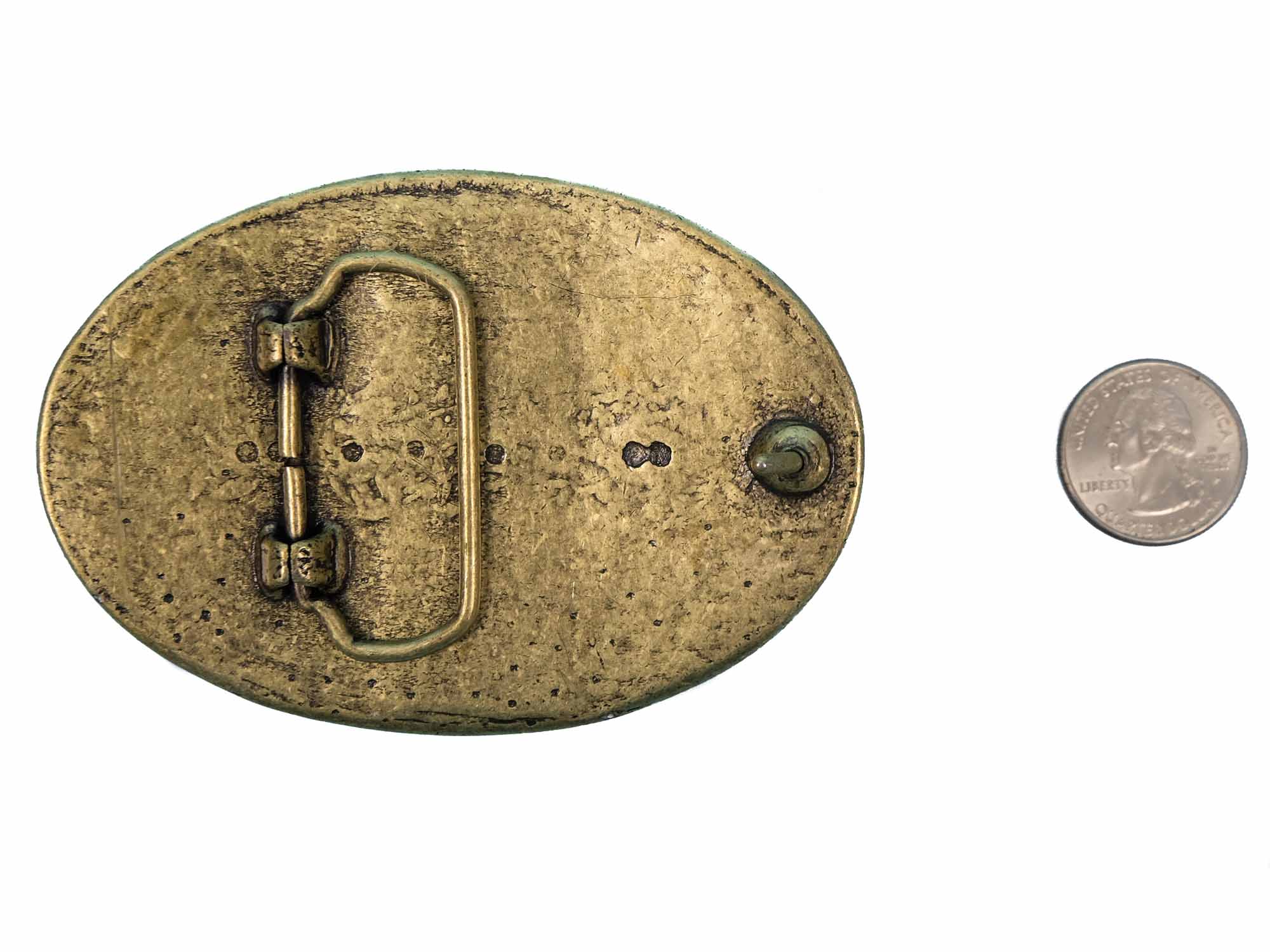 Real Rattlesnake Belt Buckle: Duelling 