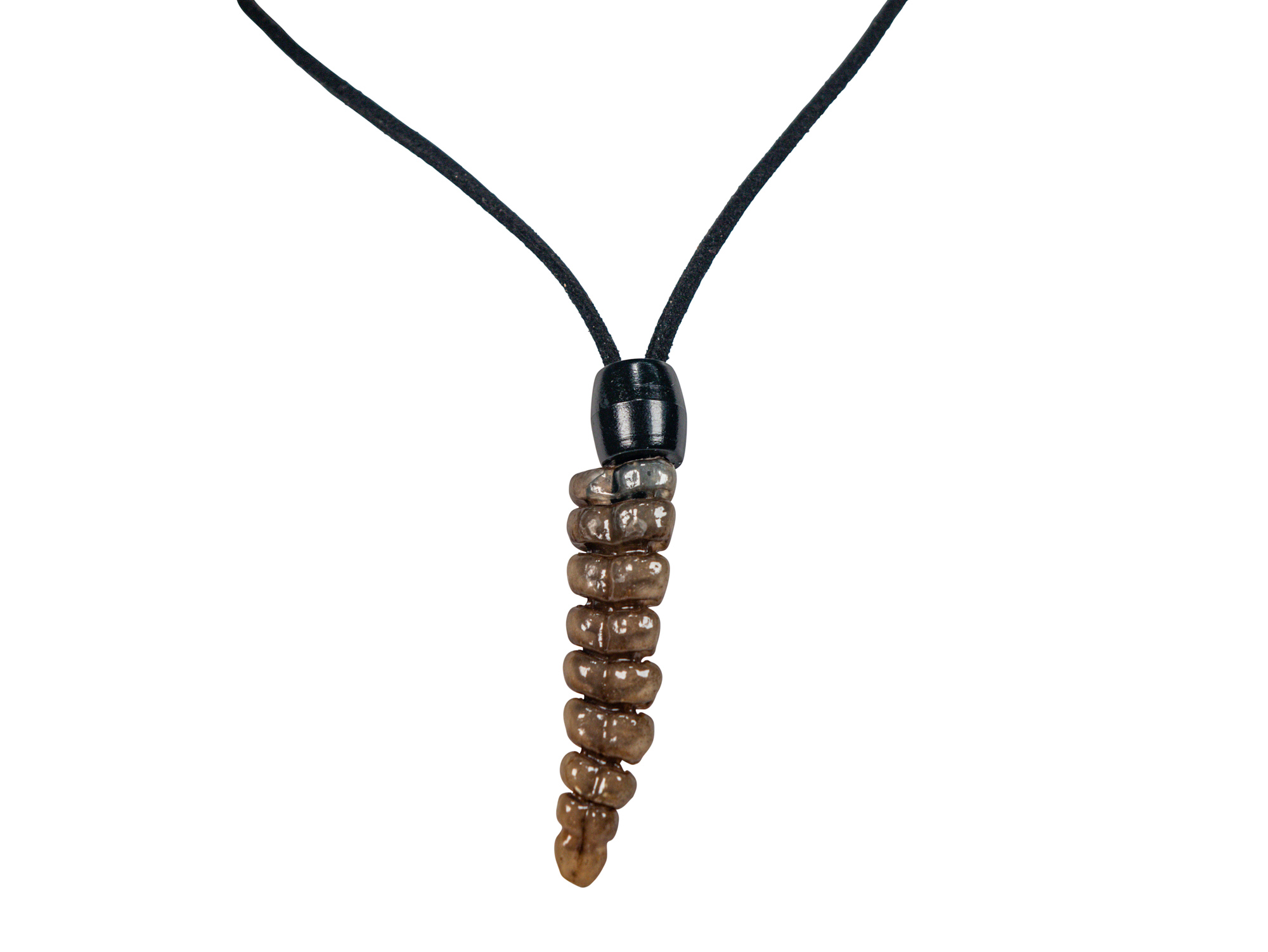 Real Rattlesnake Rattle Necklace: Large with Black Cord 