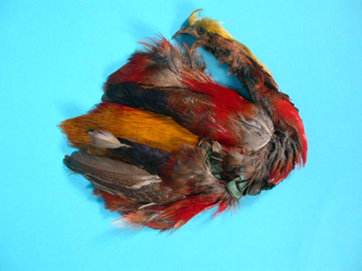 Golden Pheasant: #1: Natural Color 