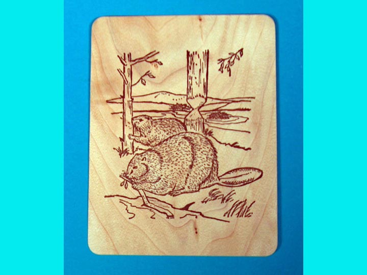 Beaver Wooden Postcard 