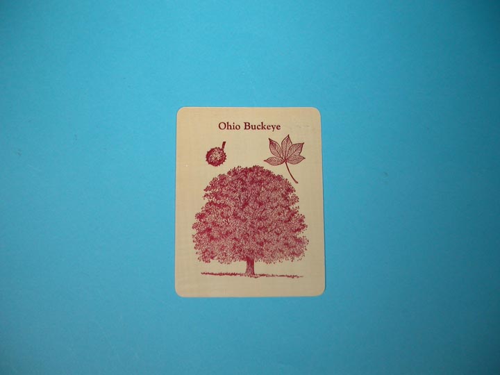 Ohio Buckeye Tree Wooden Postcard 