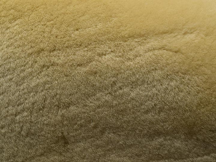 Dyed Australian Sheepskin Shearling: 1": Palomino (sq ft) 