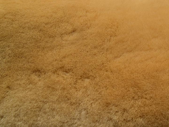 Dyed Australian Sheepskin Shearling: 1": Gold (sq ft) 