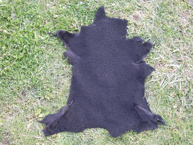Garment Grade Lamb Slink: Natural Colors: Black Nappa 