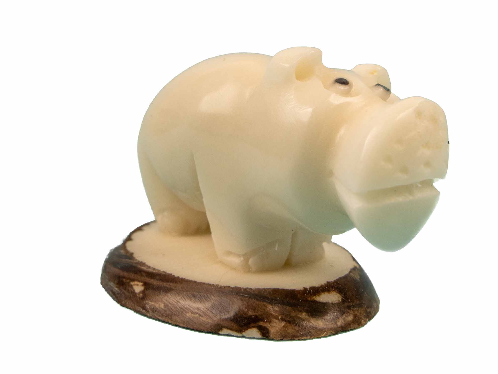 Tagua Nut Carving: Hippopotamus 