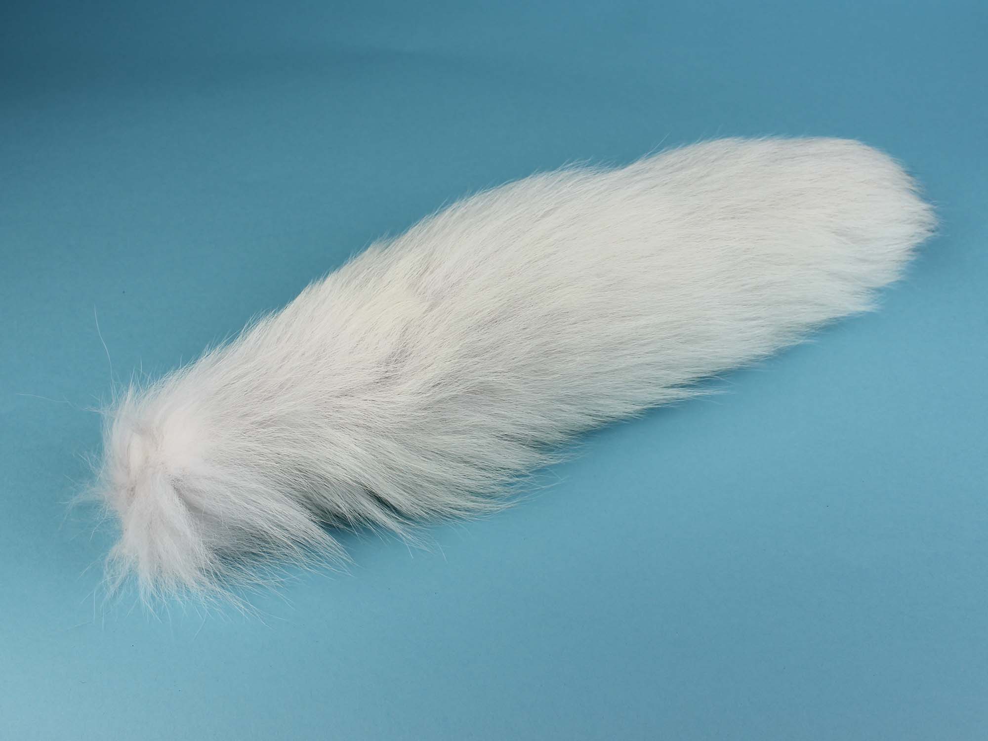 Arctic Fox Tail - 18-05-1 (D8)
