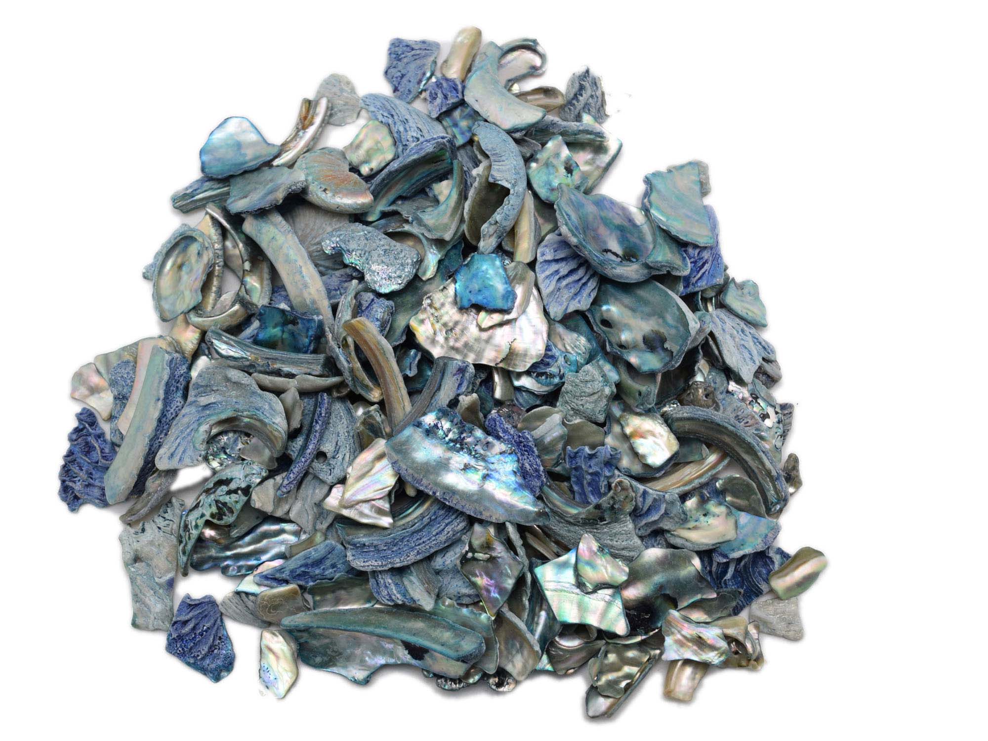 African Abalone Pieces: Assorted Sizes: Blue (kg) 
