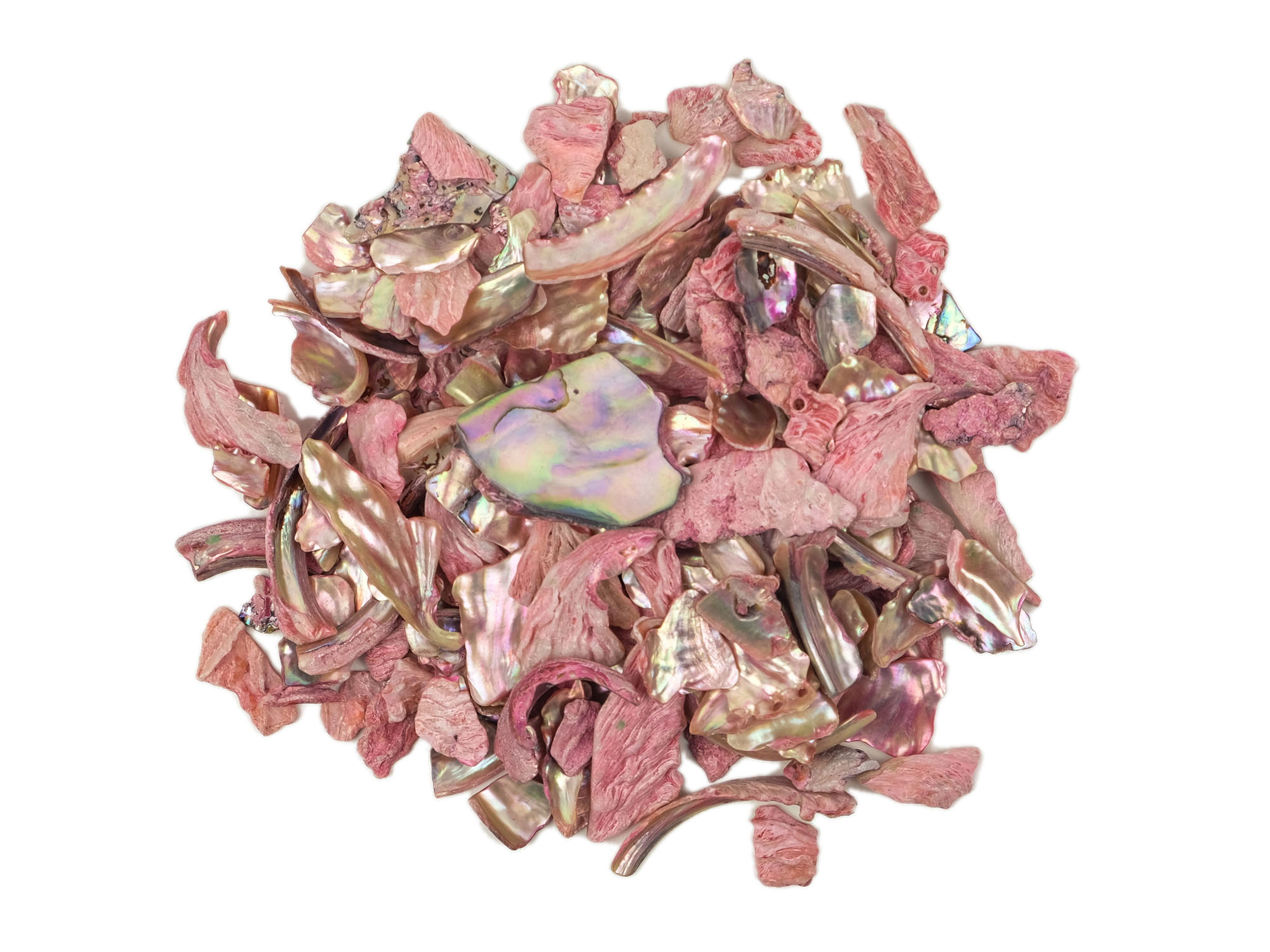 African Abalone Pieces: Assorted Sizes: Red (kg) 