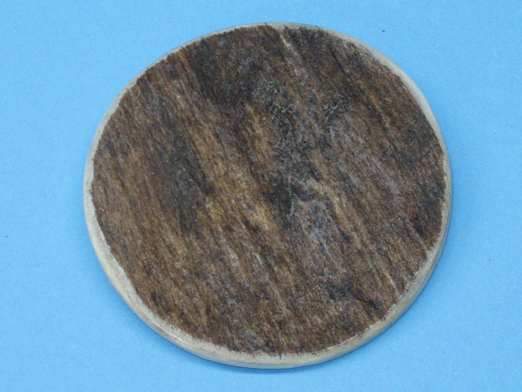 Palm-Cut 2-Hole Moose Antler Button: 2.5" 