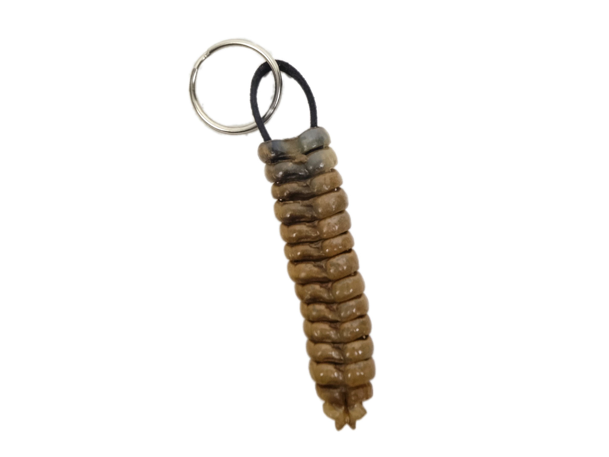 Rattlesnake Rattle and Leather Keychain: Jumbo 