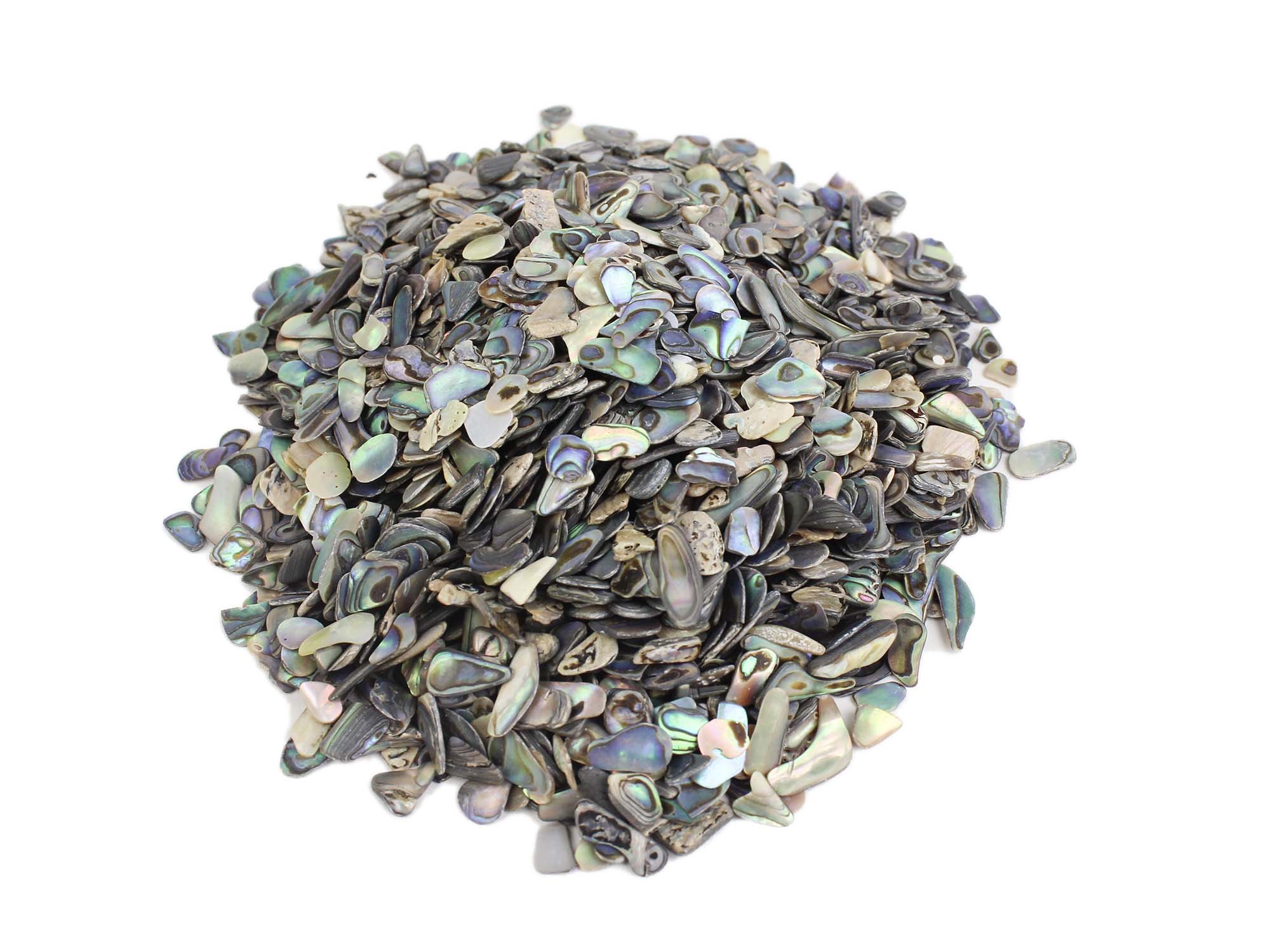 Paua Shell Chips: Unsorted (1/4 lb) 