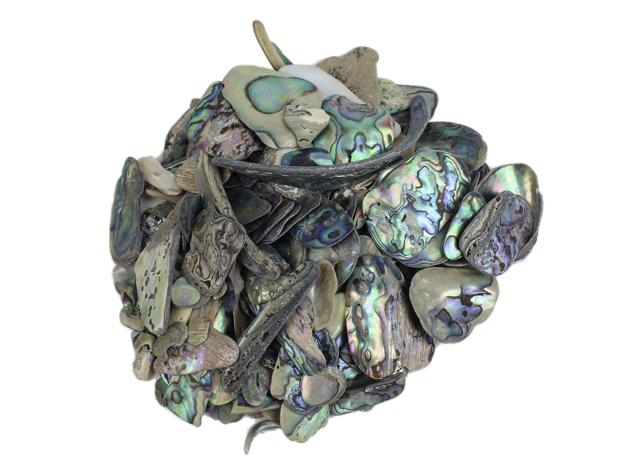 Paua Shell Pieces: Natural: Unsorted (1/4 lb) 