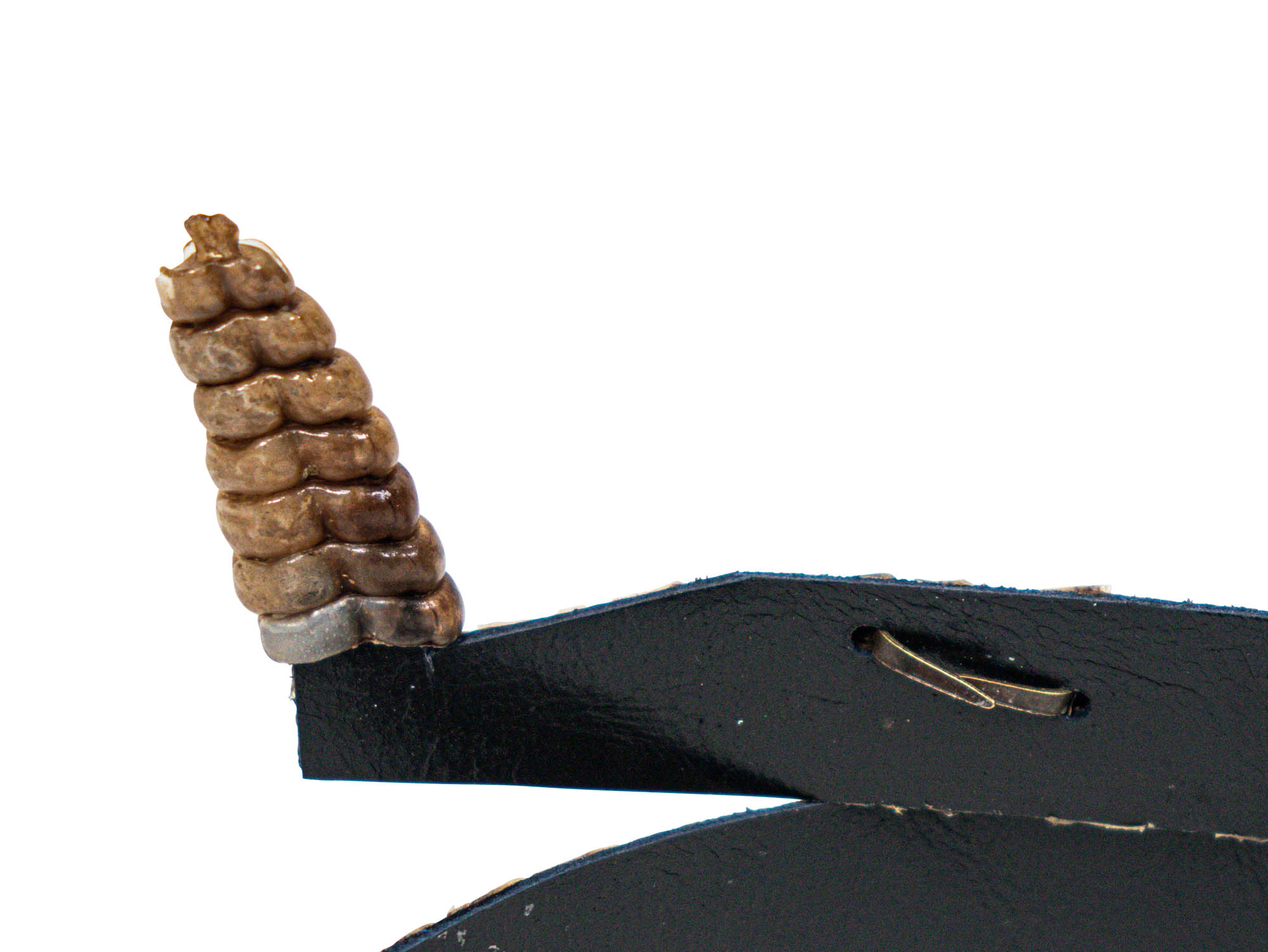 0.75" Double Sided Real Rattlesnake Hat Band with Real Rattle - 598-HB206D (9UC17)