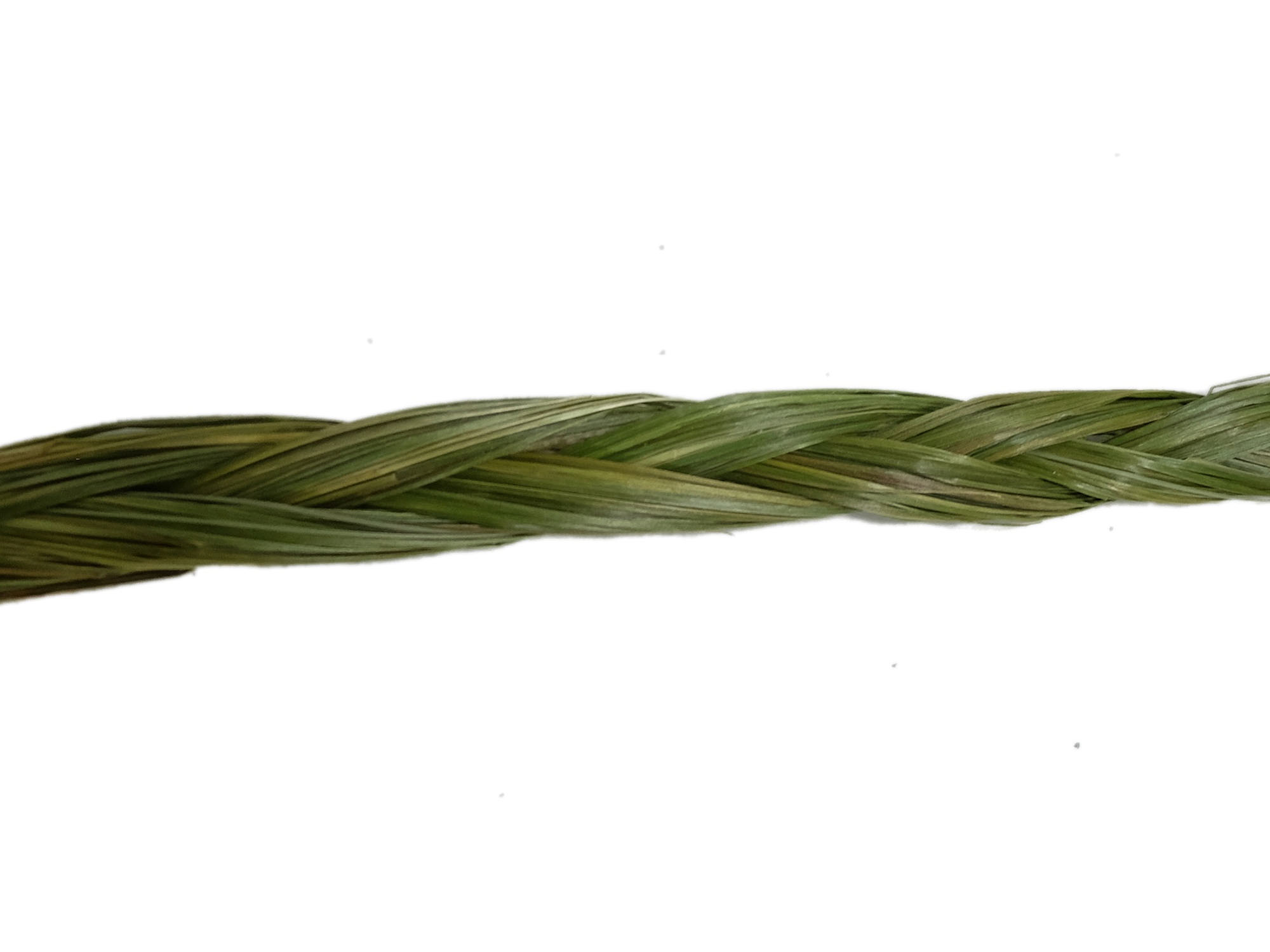Ojibwa Sweetgrass Braid: 24" to 30" 