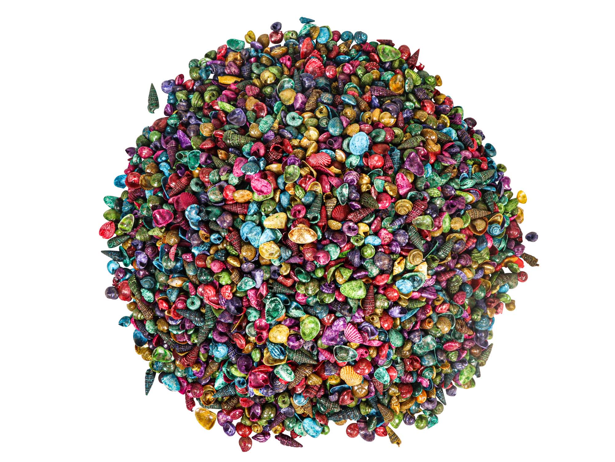Glittered Indian Shell Mix 0.50"-0.75" (1 kg or 2.2 lbs)    