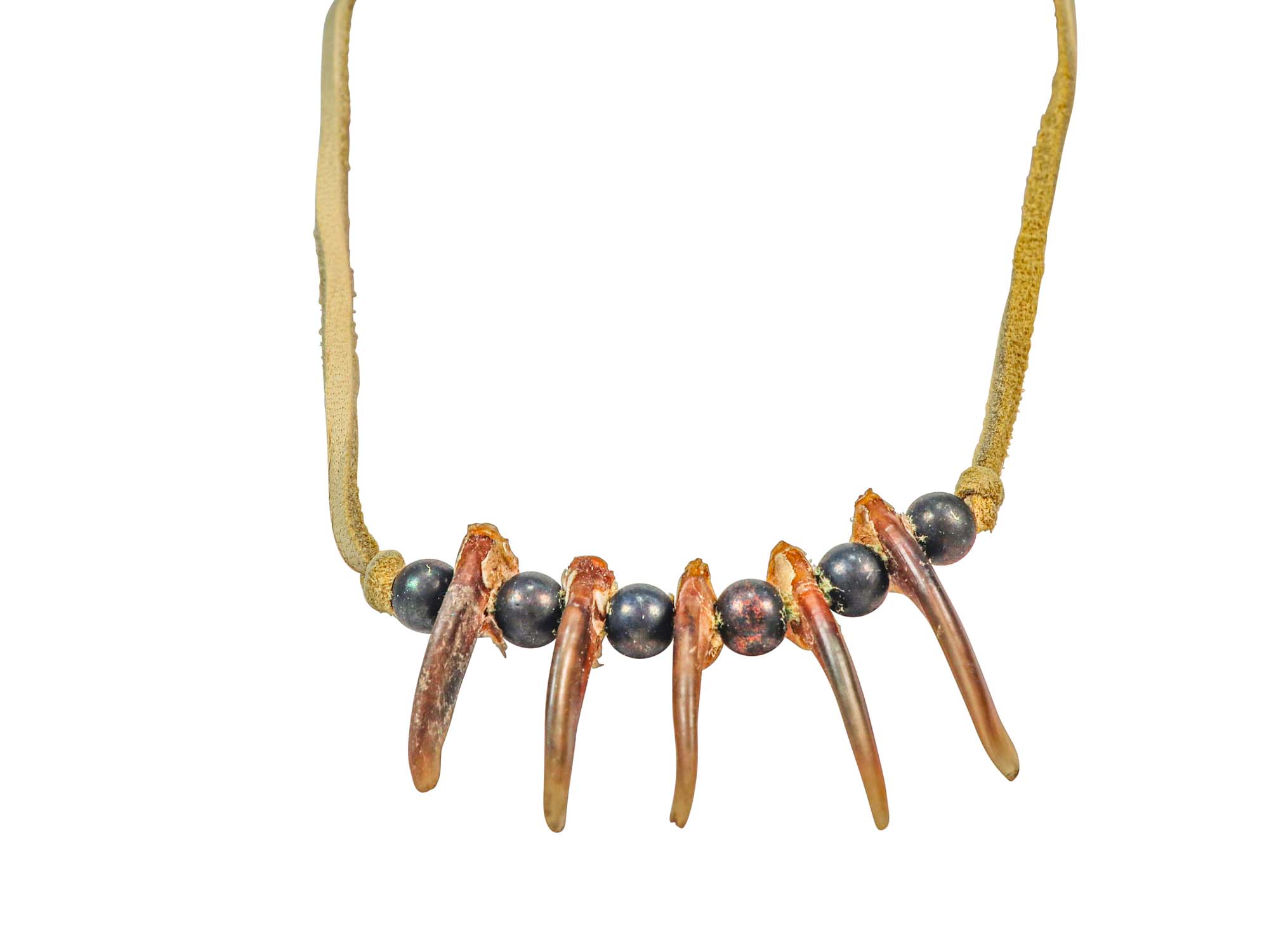 Real Iroquois Badger Claw Necklace: 5-Claw 