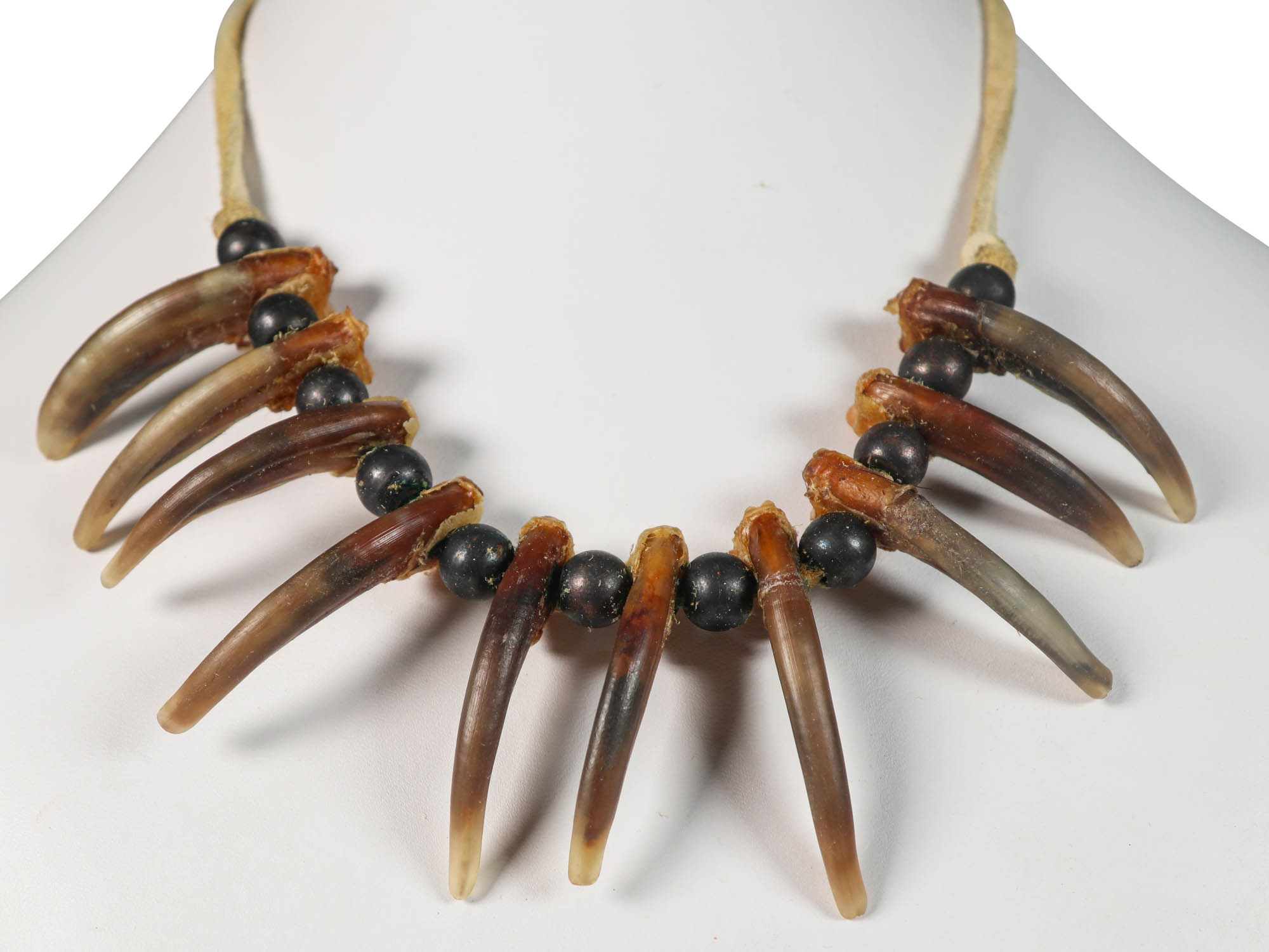 Real 10-Claw North American Badger Necklace 