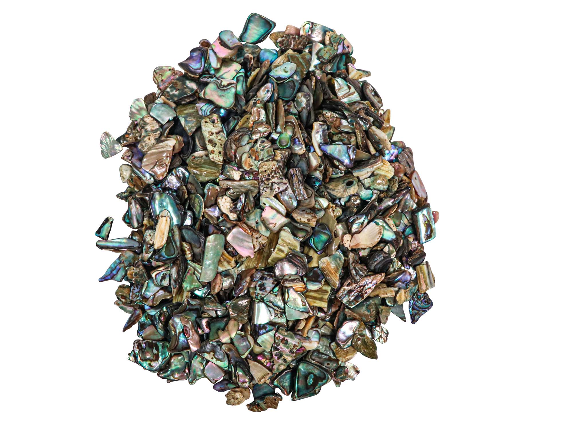 Highly Polished Paua Shell Pieces: Fine 5-15mm (1/4 lb) 
