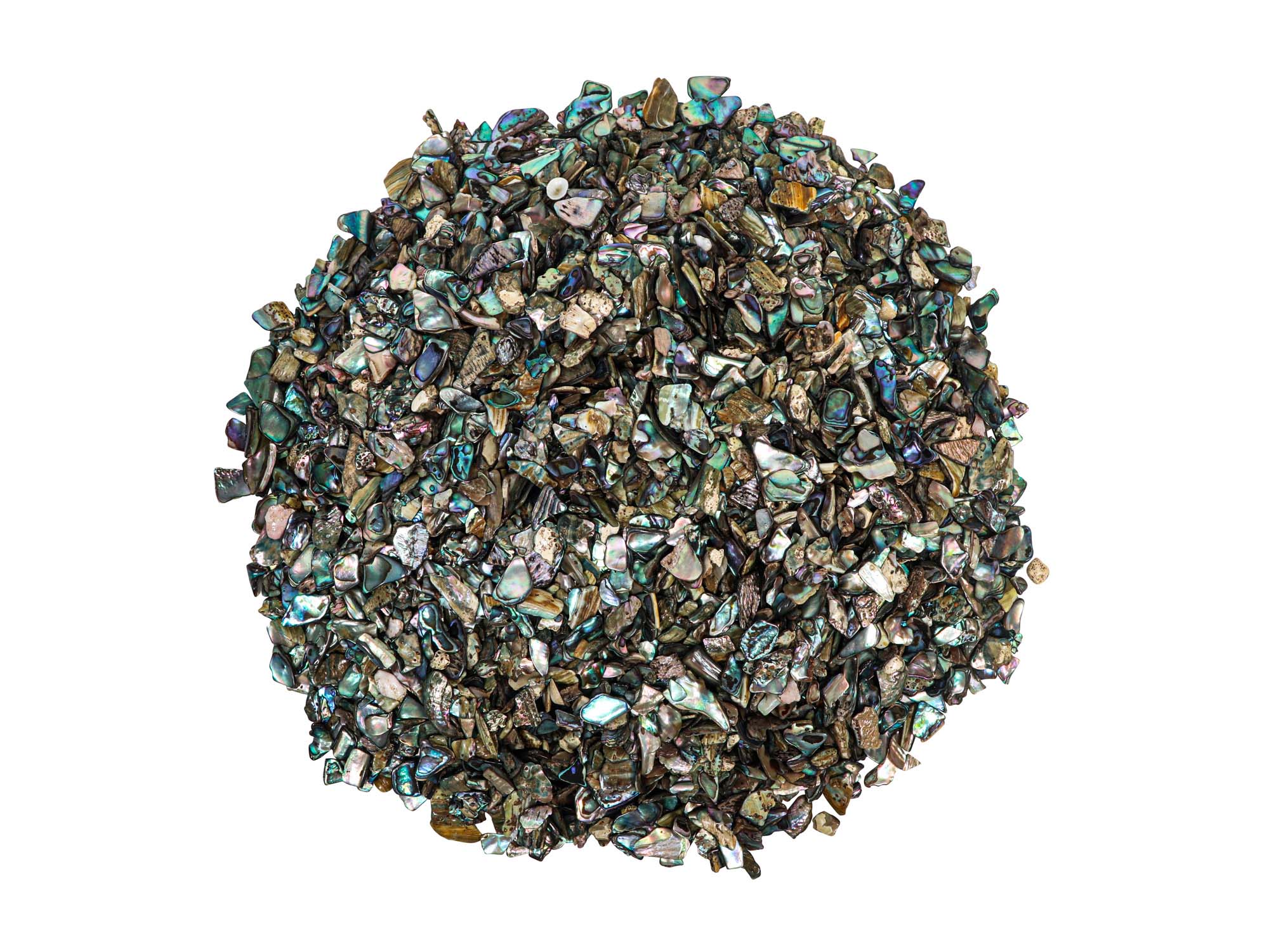 Highly Polished Paua Shell Pieces: Fine 5-15mm (1 kg or 2.2 lbs) 